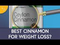 Cinnamon for obesity and diabetes what you need to know