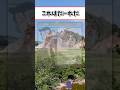 分かるかな？ #shorts #名探偵コナン