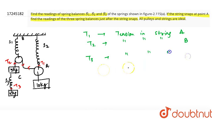 A spring balance is equally pulled at the two ends as shown in fig the reading on the balance is