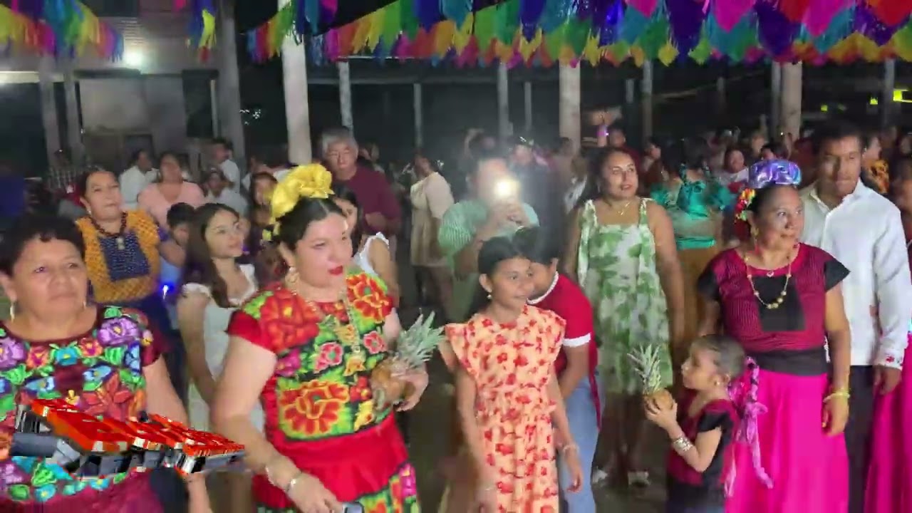 Euforia Laollaga - Flor de piña