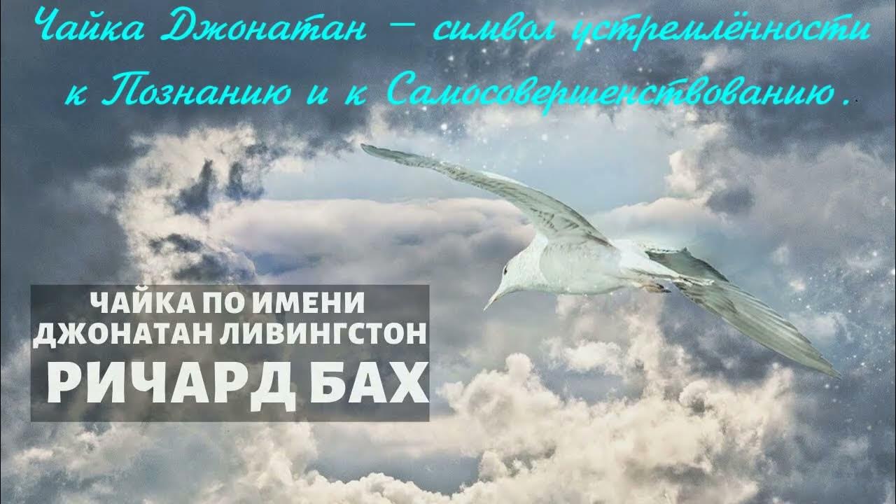 Мысли повисли песня. Бах Чайка Джонатан Ливингстон 2008 OZON. Чайка по имени Джонатан изменила мое мировоззрение\.