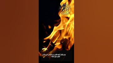 الآية رقم (28) من سورة آل عمران #shortvideo