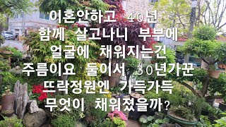 부부가 철없을때 만나 40년가까히 정원가꾸며 함께살면 생겨나는 일들~~^^