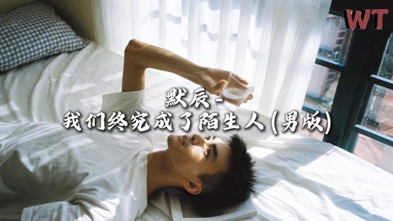 默辰 - 我们终究成了陌生人（男版）『我们终究还是成了陌生人，我也终究还是回到一个人。』【动态歌词MV】 - YouTube