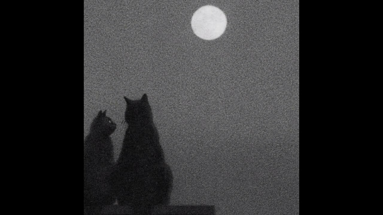 d1ego.mp3 - cats (Official Audio)