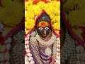 Chhatrapati Shivaji Maharaj jayanti||amba Bhavani Pooja||Jay Bhawani Jay Shivaji||#sortsfeed