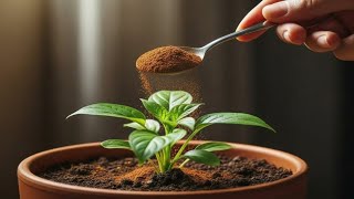 MAGIC FUNGICIDE & INSECTICIDE FOR ANY PLANT (100% success result) !