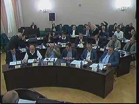 რიგგარეშე სხდომა - 21.11.2017