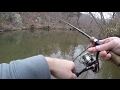 TROUT FISHING with Rooster Tail Spinners