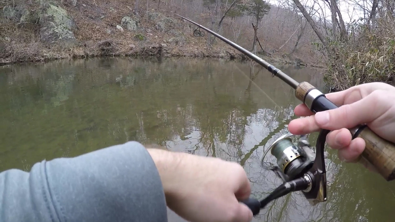 TROUT FISHING with Rooster Tail Spinners 