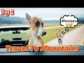 Day 2 travel in mountains with my dog pluto 