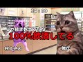 【猫ミーム】深夜コンビニの闇大集合♯1～5【総編集】