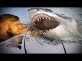 5 Shark Encounters Caught On GoPro