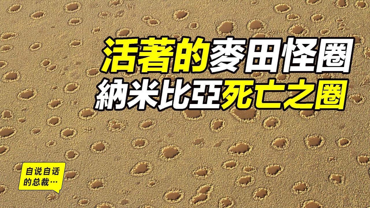 自说自话的总裁youtube网红频道详情与完整数据分析报告 Noxinfluencer提供支持