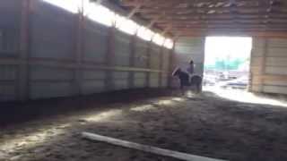 Cantering Bareback