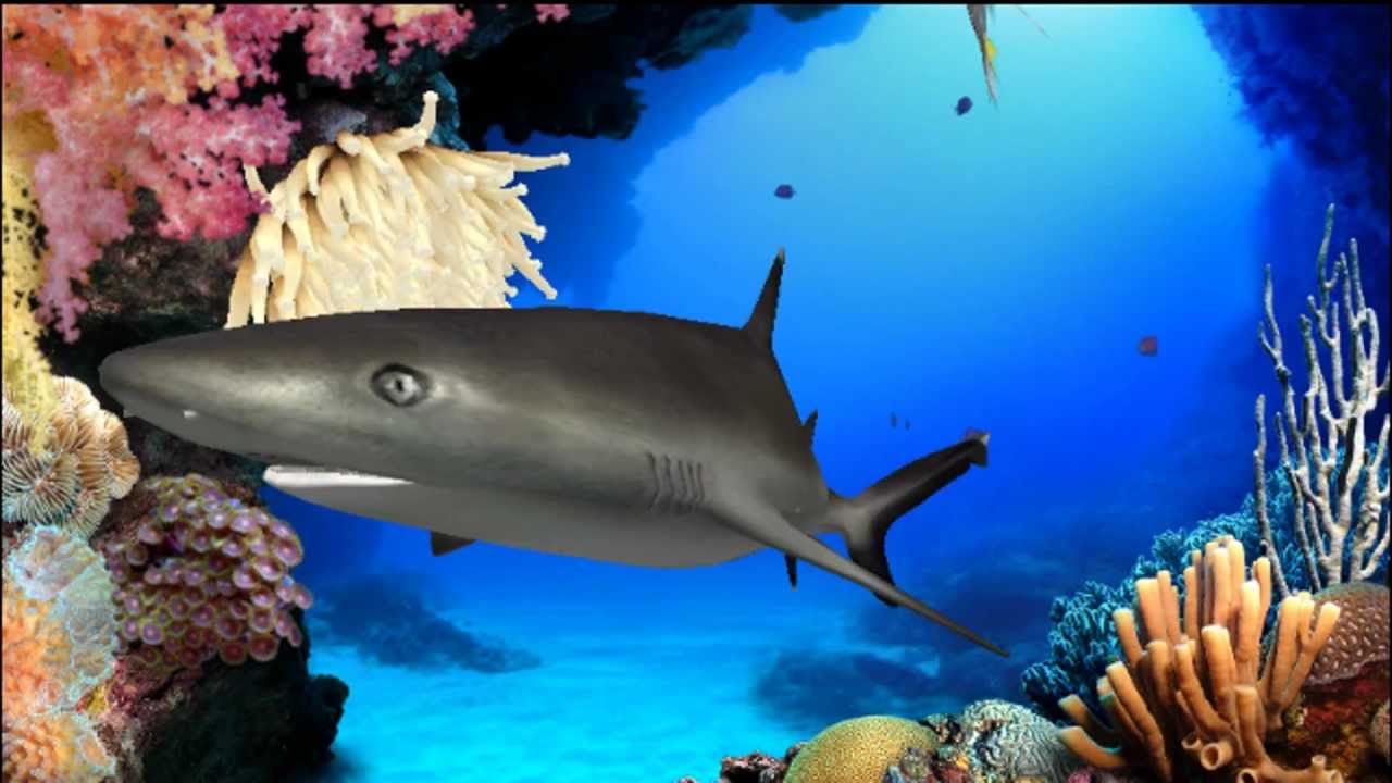 digifish aqua real 2 desktop digifish aqua real 2 desktop