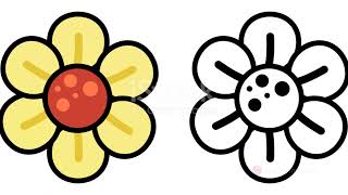 Decoding Data  A Statistical Journey 2024 05 01 1 Net Worth