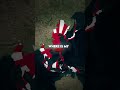 "Where is Japan?" #shorts #history #geography #fyp #viral #tiktokeffects