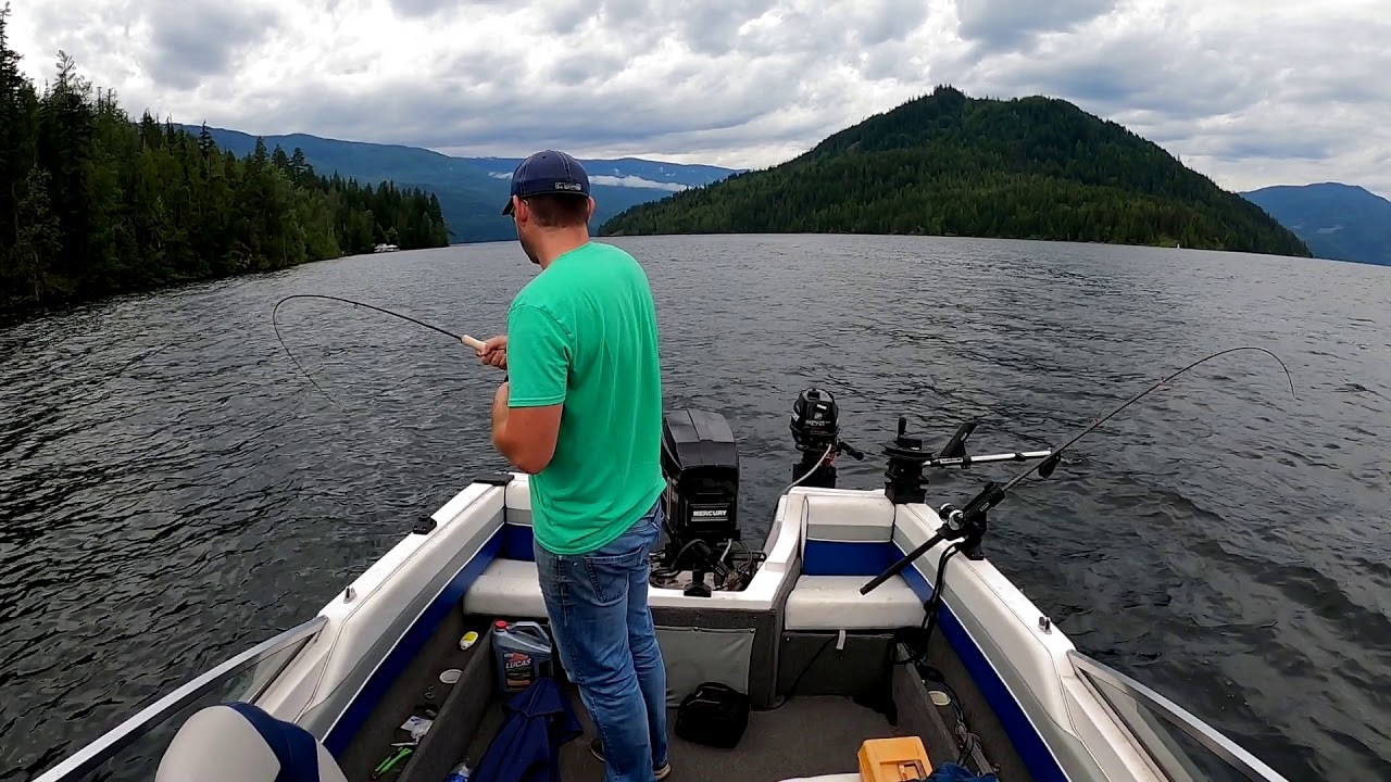 Shuswap Lake Rainbows on the fly rod YouTube