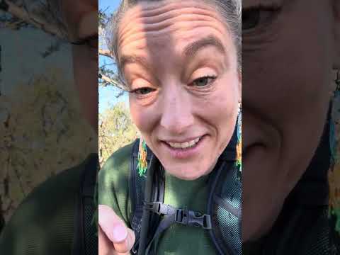 Stephanie Jones and her (alleged) “good press for clients” 