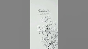 راحه لقلوبنا ،،،#اكسبلور #قرآن #القرآن_الكريم #قران_كريم #تلاوات_خاشعة #تلاوات #راحة_نفسية