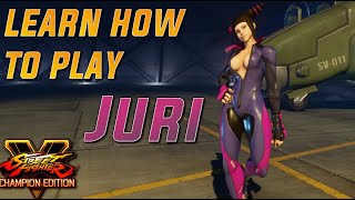 Judge, Juri, and Executioner: A Juri Beginner's Guide
