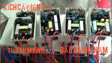 kích cá điện tử 10f-12f-8f đánh sông nước ngọt hút cá ll điện tử Lê phi