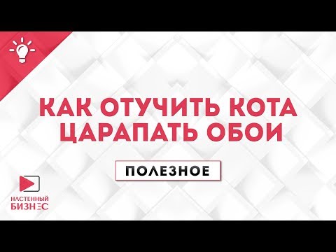 Полезное №14. Как отучить кота царапать обои