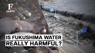 Japan Pumps Out Treated Fukushima Nuclear Waste Water, Is It Really Harmful? | Firstpost Earth