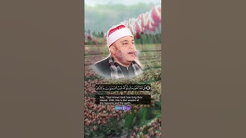 الشيخ فتحي موسى في تلاوة تأسر القلوب وتبكي العيون #قران #قران_كريم #quran #اكسبلور