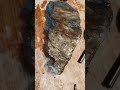 Is this a Petrified Head?