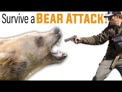 How To Survive a Bear Attack! (Grizzly Bear or Black Bear)