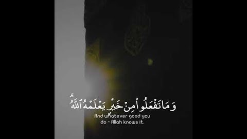 {الْحَجُّ أَشْهُرٌ مَّعْلُومَاتٌ} قرآن كريم حالات واتس اب 🕋