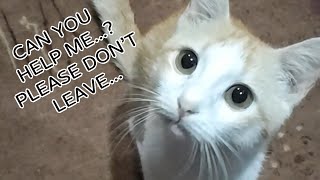 I Need Your Help...