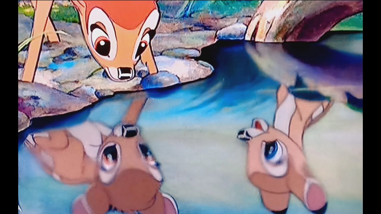 Bambi (Disney 1942) Bambi trifft Feline YouTube
