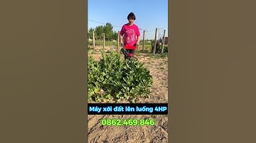 Máy xới đất mini này cày xới nhanh lắm các bác ạ  #nông_nghiệp #mayxoidat #shorts