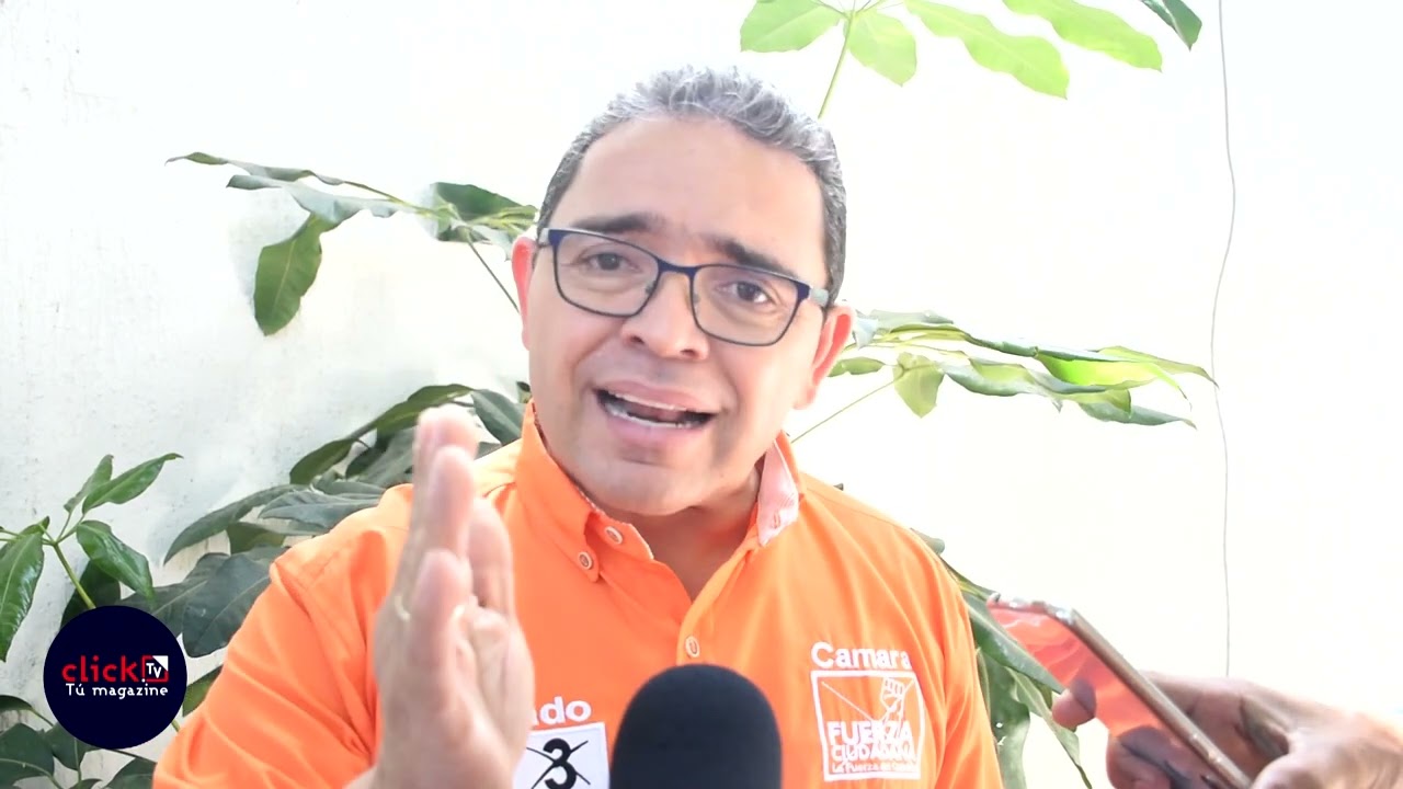 Porqué votar por el Movimiento Fuerza Ciudadana, Rafael Martínez candidato al senado
