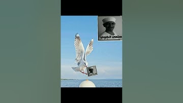 سورة الأعراف ربع ٤ حلمي الهوي
