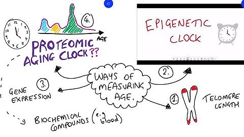Comparing aging clocks