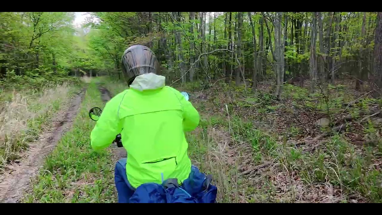 Honda Trail 125 Fun Day