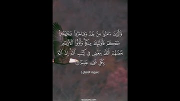 سورة الأنفال #قرآن #راحة_نفسية #المسبحة_اونلاين
