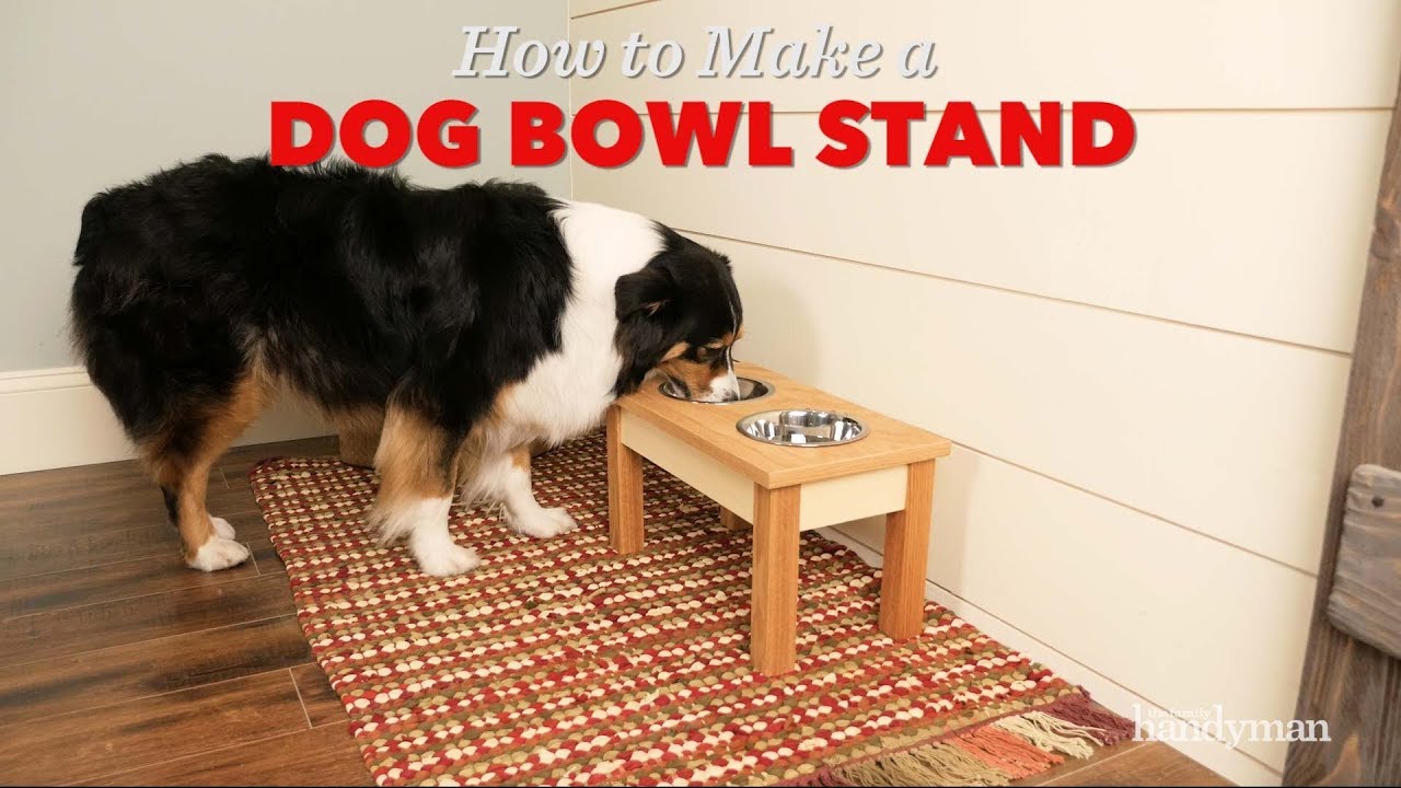 DIY Modern Elevated Dog Bowl Stand - Handmade Weekly