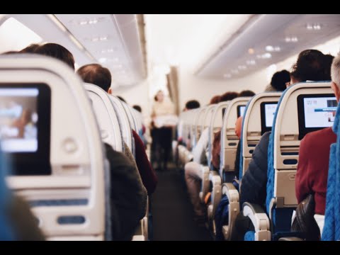 Travel Advisory: Parshat Emor