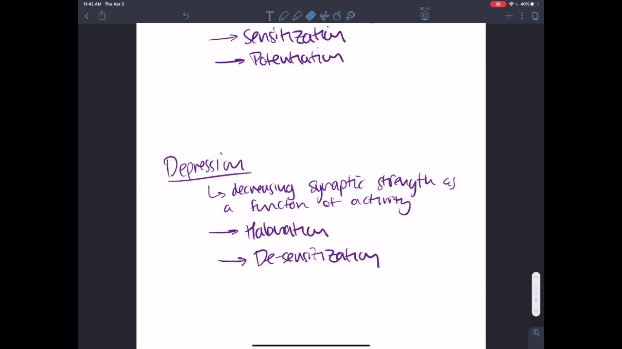 Intro to Synaptic Plasticity