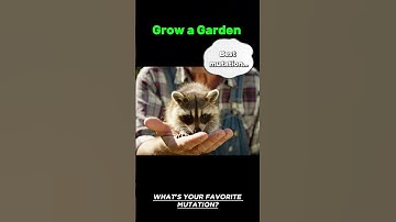 Grow a Garden: The Best Mutation. #growagarden #raccoon #tinymutation