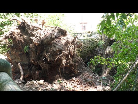 Cremona, pesanti i danni del maltempo: alberi crollati, tavoli e sedie volati via, tetti divelti