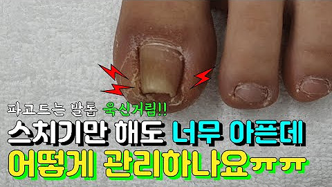 레푸스상도점. 조원장의 풋솔루션