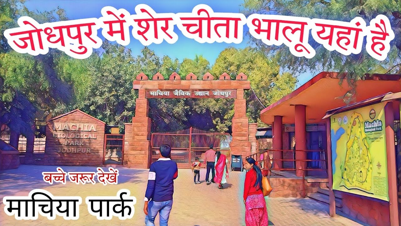 माचिया पार्क जोधपुर,इस उद्यान में शेर चीता मगरमच्छ भालू आप नजदीक से देख सकते है  Machia Park Jodhpur