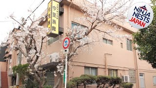 Ryokan Imazato | Osaka, Japan | Hotel Review 🏩