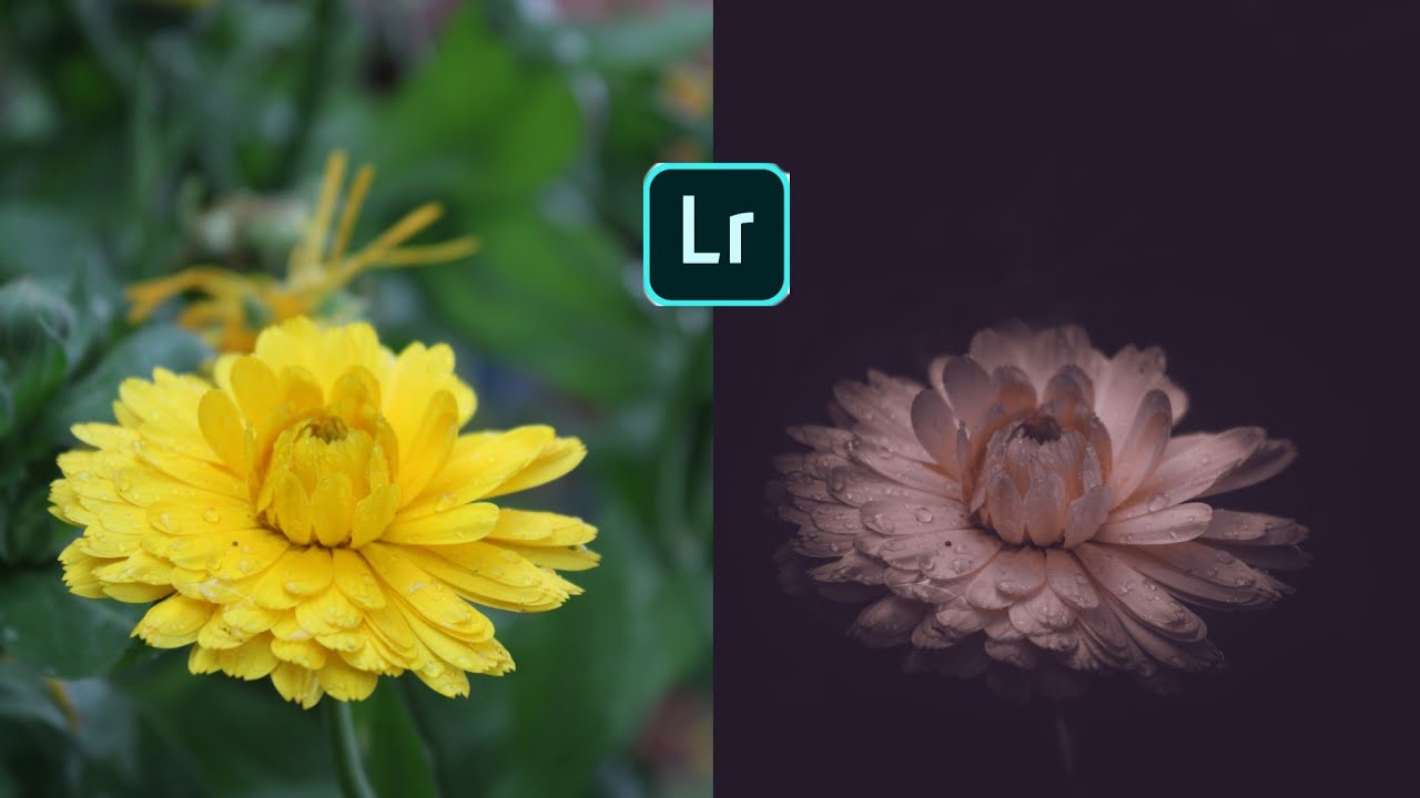 Lightroom Tutorial HOW TO EDIT A FLOWER PHOTO YouTube